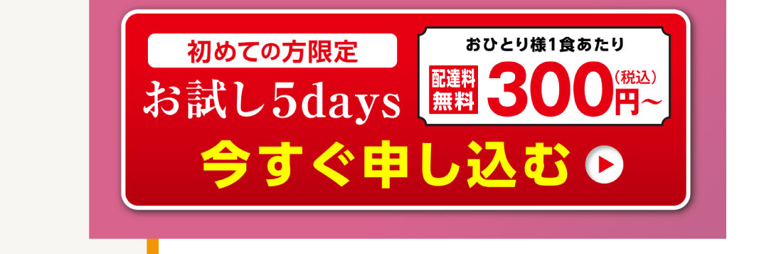 初めての方限定「お試し5days」今すぐ申し込む